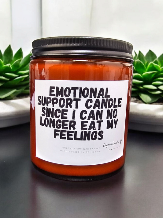 Emotional support candle since I can no longer eat my feelings - Amber Candle
